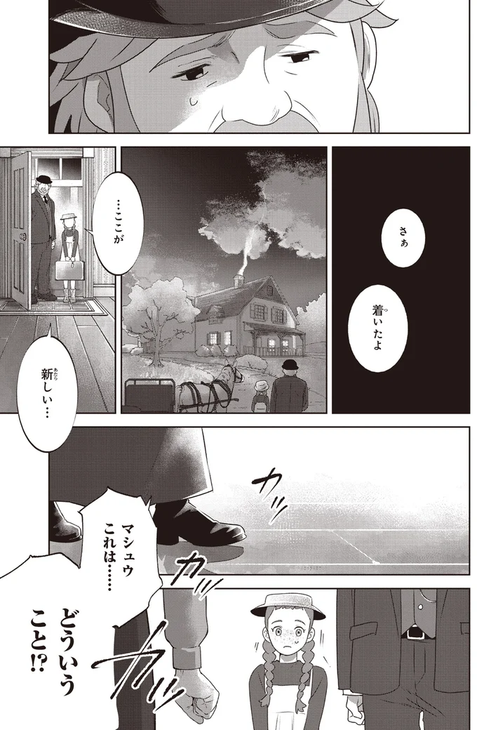 『アン・シャーリー 1』 35.webp