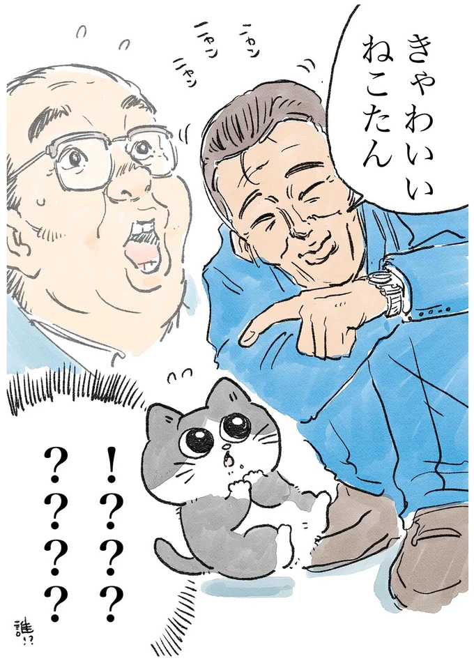 なぜ私が猫に⁉でも、体も軽いしみんな親切だから悪くないかも／ねこに転生したおじさん1 16.webp