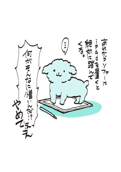 「撫でるのをやめるとめっちゃ見てくる」愛犬。さらに...えええ！／うちのトイプーがアイドルすぎる。 04-4-e1546504786620.jpg