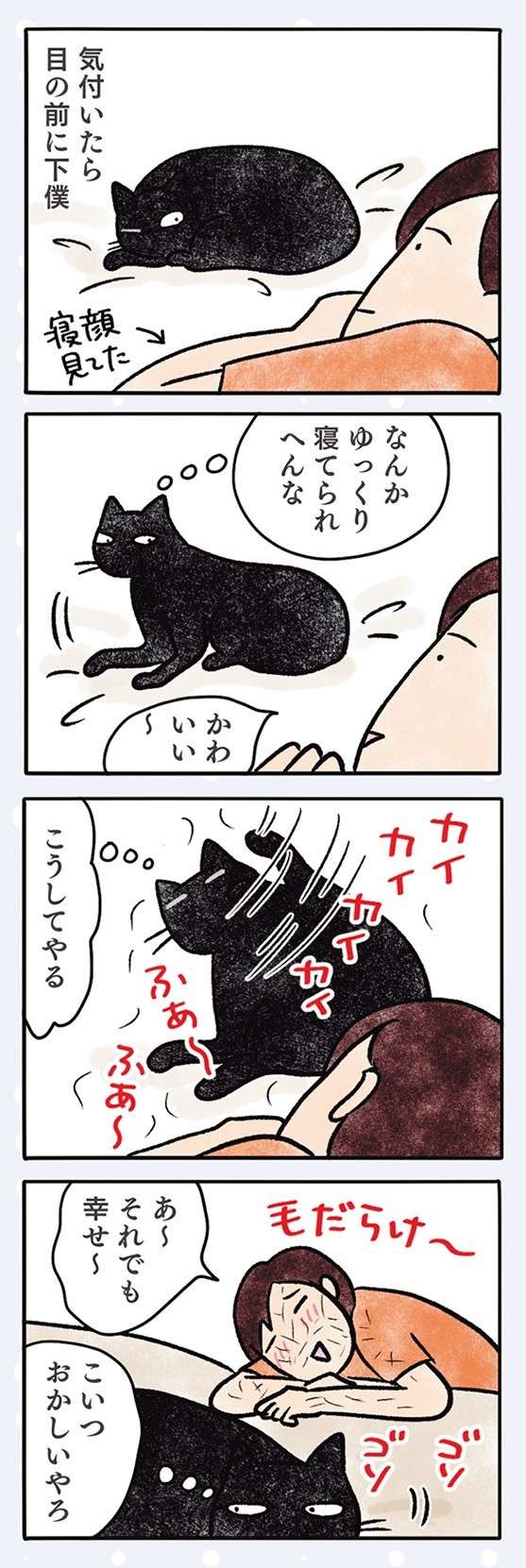 「飽きたん？」猫はおもちゃを動かしても無反応。その「猫っぽい理由」は／黒猫ナノとキジシロ猫きなこ kuroneko_nano11-3.jpg