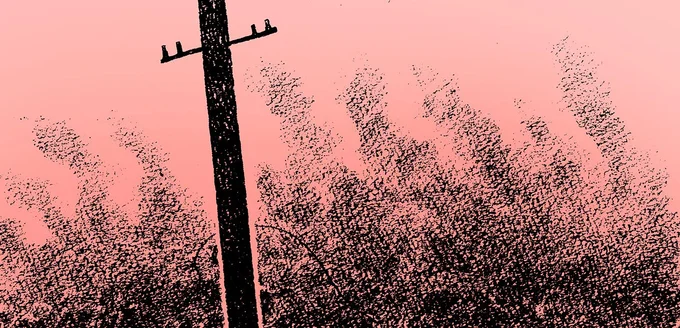 原爆投下の翌日。皮膚がずるりと向けた負傷者、折り重なる死体...身の毛もよだつ光景／わたくし96歳が語る 16歳の夏