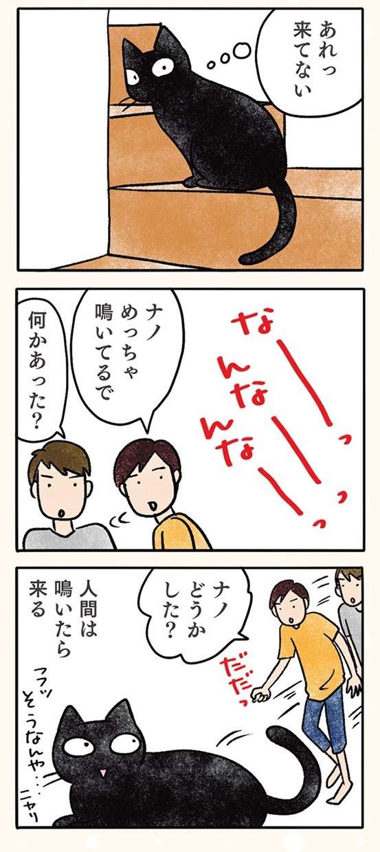 「もう覚えたで」猫が覚えた人間（＝下僕）を操る方法／黒猫ナノとキジシロ猫きなこ kuroneko_nano3-2.jpg