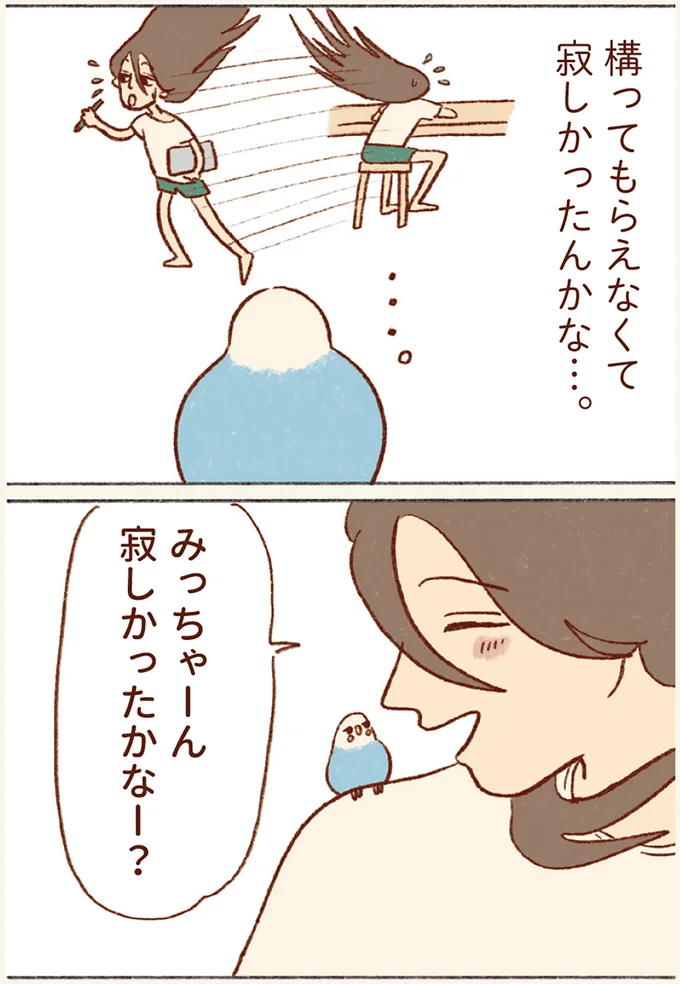 『プジェ日記！ 幸せを運ぶインコのみっちゃん』 132.webp