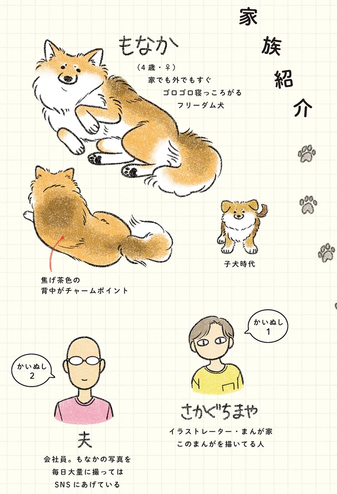 優等生じゃありませんがなにか？ マイペースな元保護犬・もなかとの生活／犬を揉む 13.png