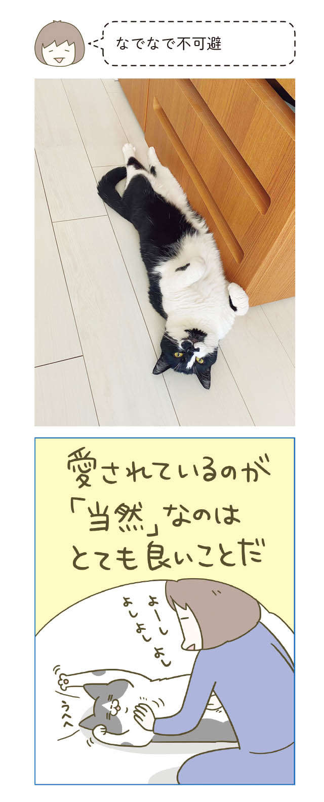 「かわいさを自覚する猫」飼い主が素通りした時の表情は？／うちの猫がまた変なことしてる。5 12.jpg