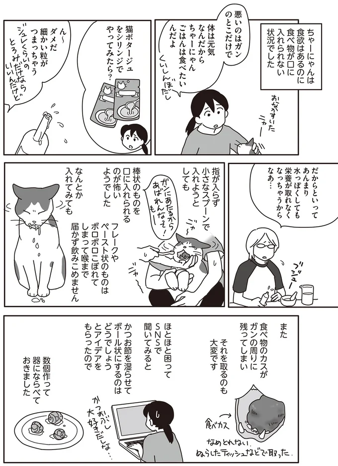 『世界一幸せな飼い主にしてくれた猫』 15-02.png
