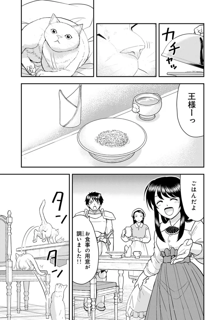 猫は同じご飯だと飽きる？ ご飯を食べなくなった理由は...／王が猫になった 15751104.webp