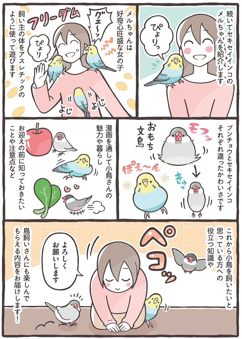 モフモフボディに悩殺上目遣い...癒しの鳥さんたち。お迎えしたいと思ったら／トリ扱い説明書 繝医Μ謇ｱ縺・ｪｬ譏取嶌_繝槭Φ繧ｫ繧咏判蜒・繝医Μ謇ｱ縺・ｪｬ譏取嶌_005.jpg