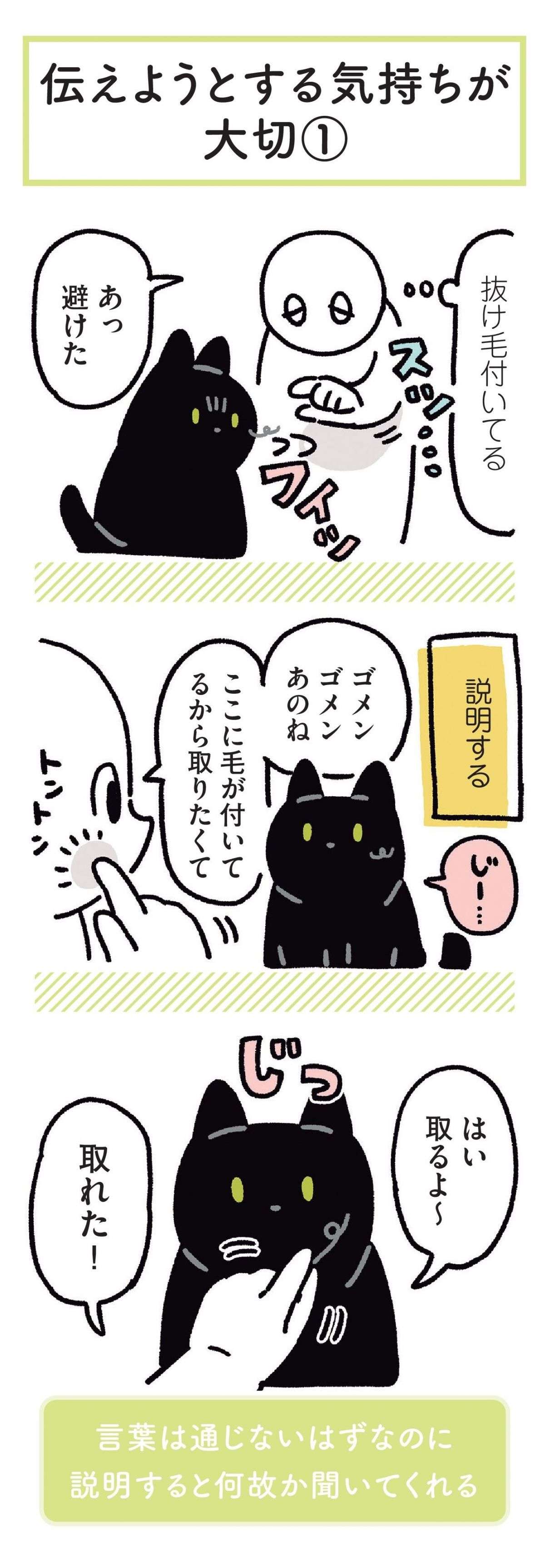 猫は「おじぎ」するのか。確認すべく、自撮りカメラで撮影したら...おお！／黒猫ろんと暮らしたら 20.jpg