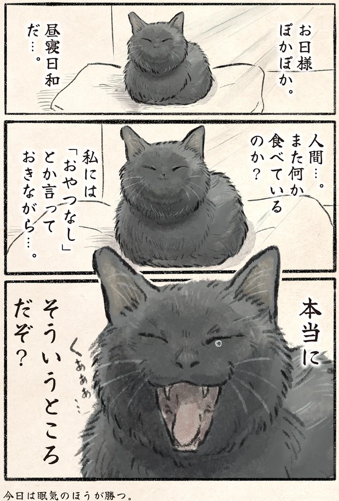 『今日もネコ様の圧が強い』 09-04.png