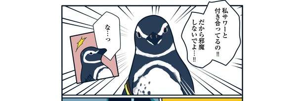 飼育員は見た!! 「帰宅すると目の前で...」恋の修羅場か!? ペンギンたちの愛の記録マンガ 35流血！すみだ水族館で恋の修羅場「下町ペンギン物語」第三話9.jpg