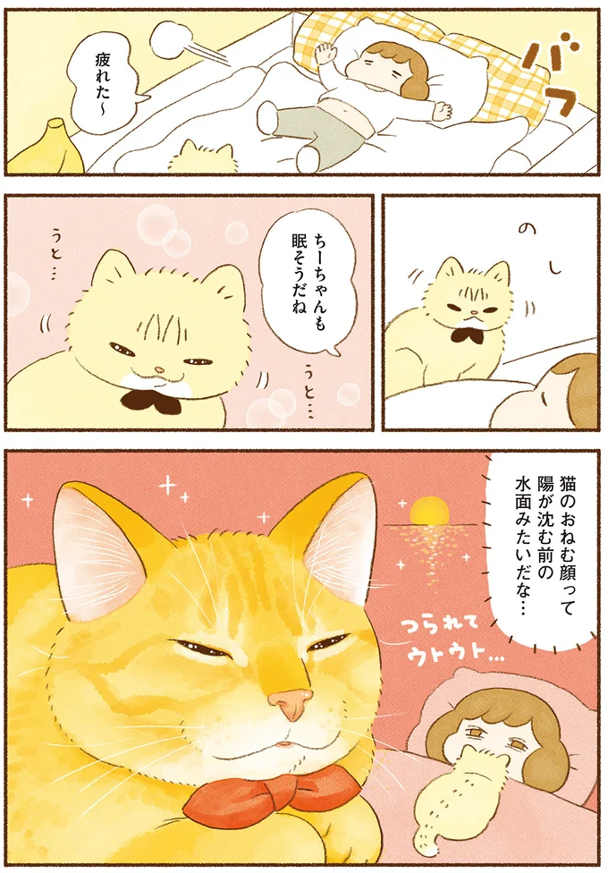 『しまねこ3姉妹と暮らしています　深まるきずな編』 13539120.webp