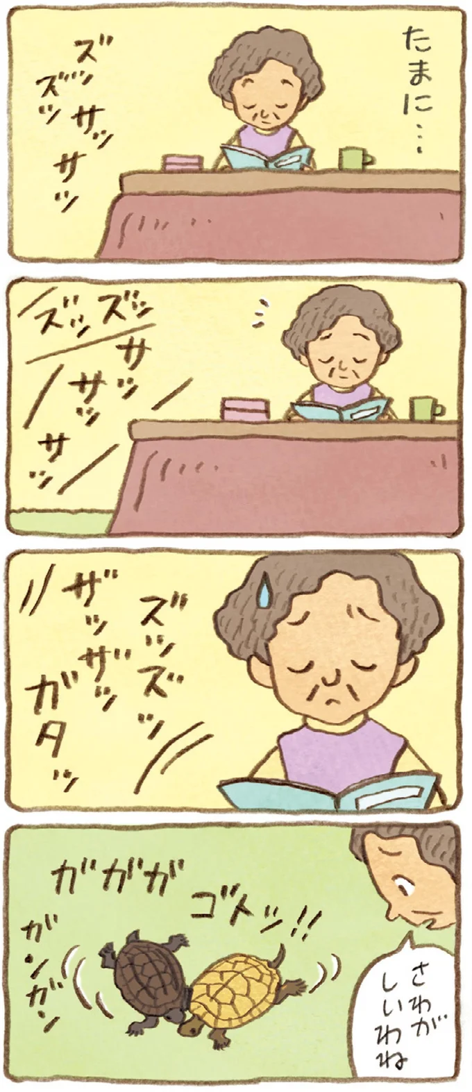 おばあちゃんとかめ 何げに楽しい2匹とのくらし 03-05.webp