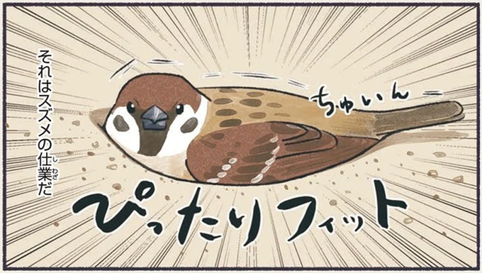 スズメが人間と「微妙な距離」をとる理由。どれだけ...／意外と知らない鳥の生活