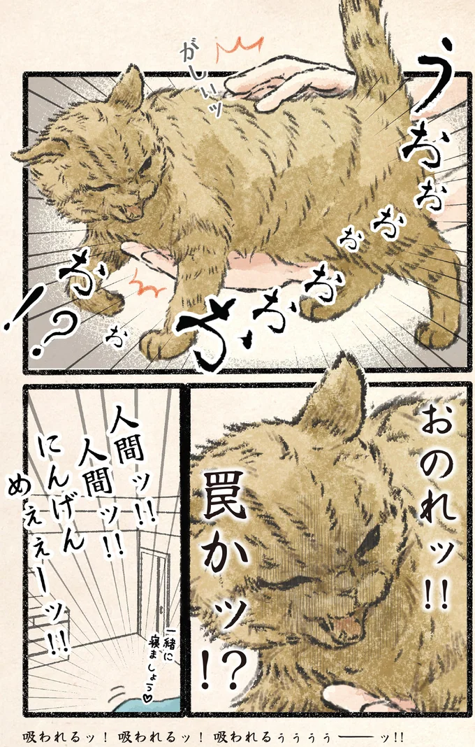 『今日もネコ様の圧が強い2』 74.webp