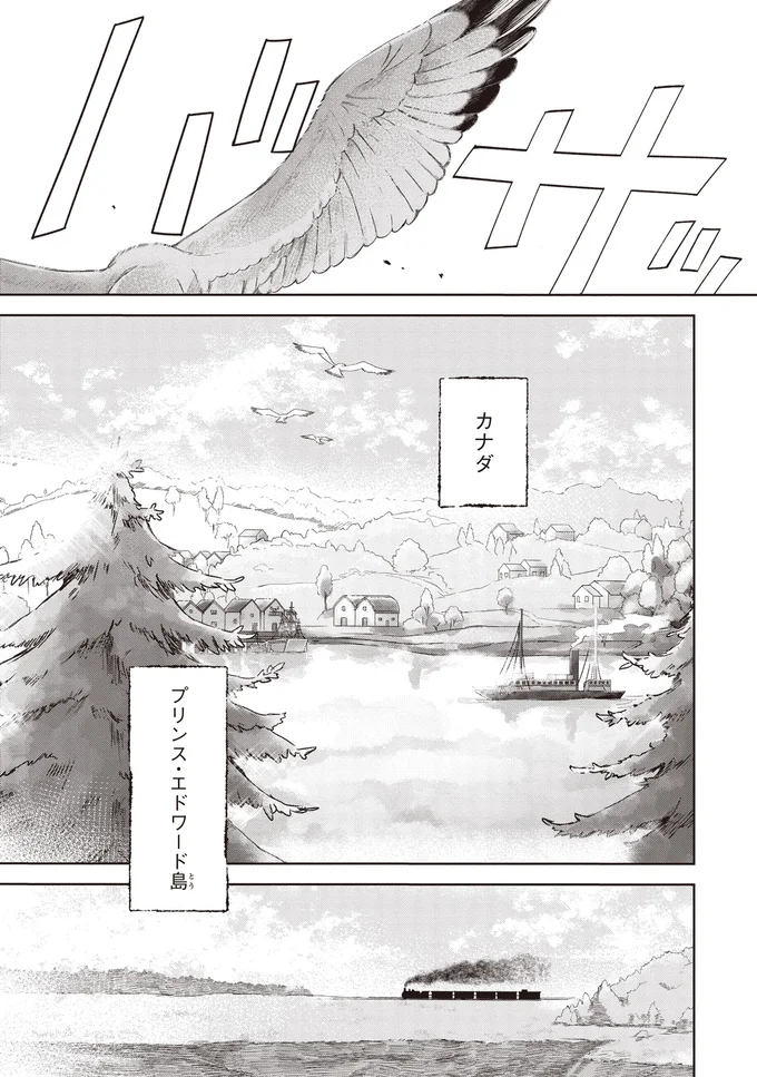 『アン・シャーリー 1』 11.webp