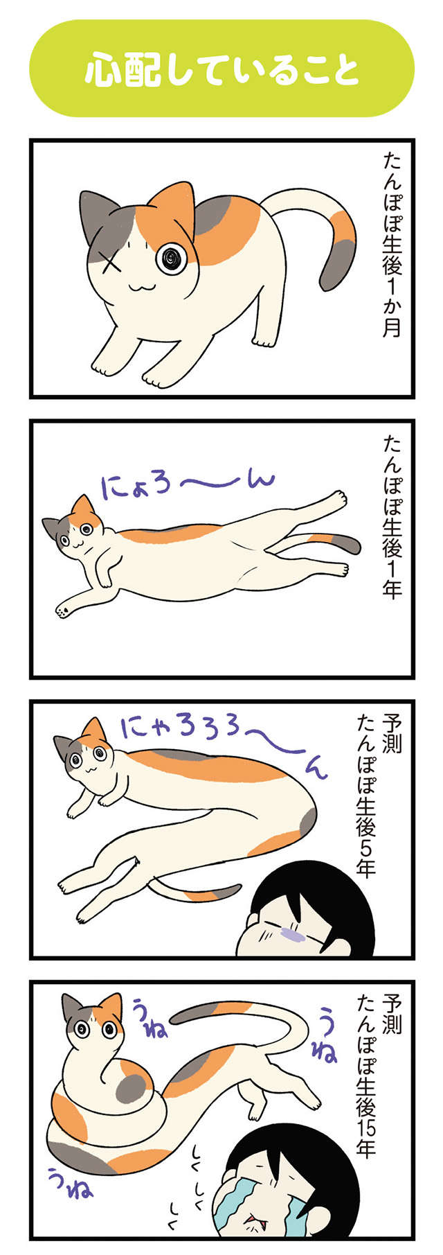 「ながい...」のびーる猫の体。飼い主が「心配すること」って？／うちう猫と柴犬 12.jpg