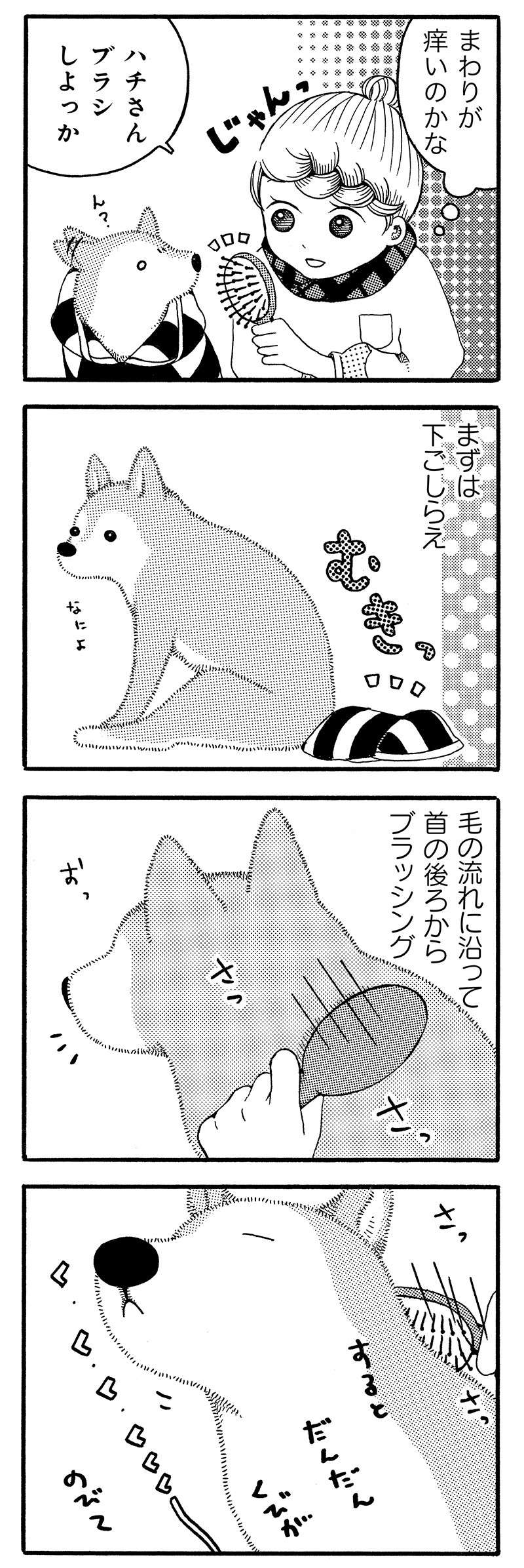 おじいちゃん柴犬のかわいすぎる「さいそくのポーズ」。口元がたまらない...！／じじ柴ハチさん 3.jpg