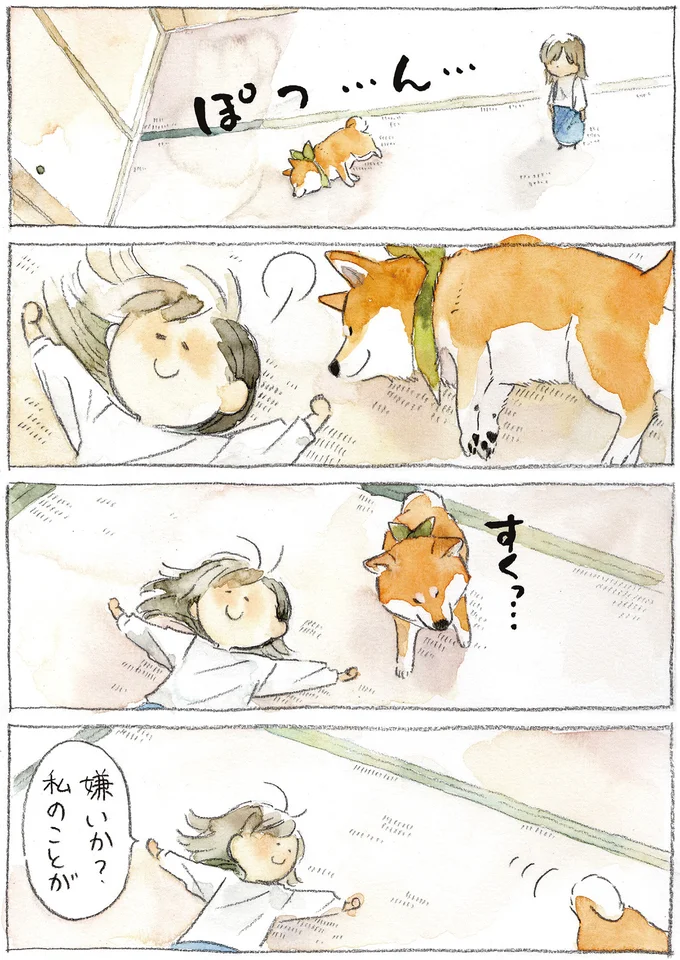 ぽつんと眠る柴犬。寂しくないように飼い主が横に添い寝をしたら...／柴犬ぽんちゃん、今日もわが道を行く２ 01-01.png