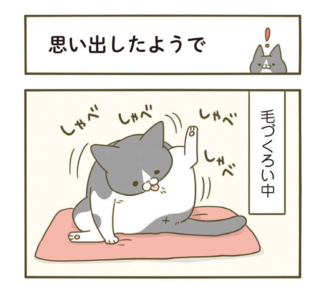 猫が毎回「初めて聞いた！」みたいな顔...飼い主が「注意」したことは？／うちの猫がまた変なことしてる。4 1.jpg