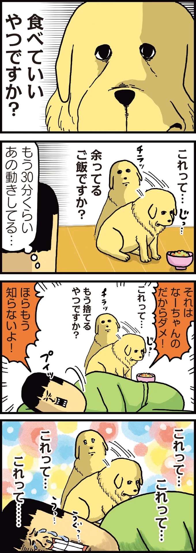 「食べていいやつですか？」愛犬たちのご飯をかけた心理戦／まめきちまめこニートの日常 1 mameko2_2.jpeg