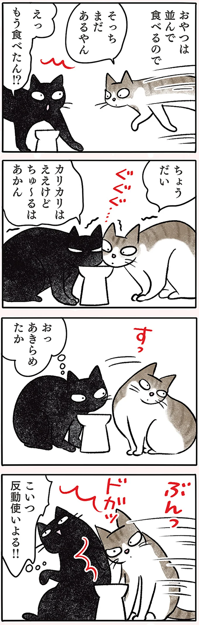 「ご飯を横取りされた！」と訴える猫。いや、アピールの前に...／黒猫ナノとキジシロ猫きなこ 03-02.png