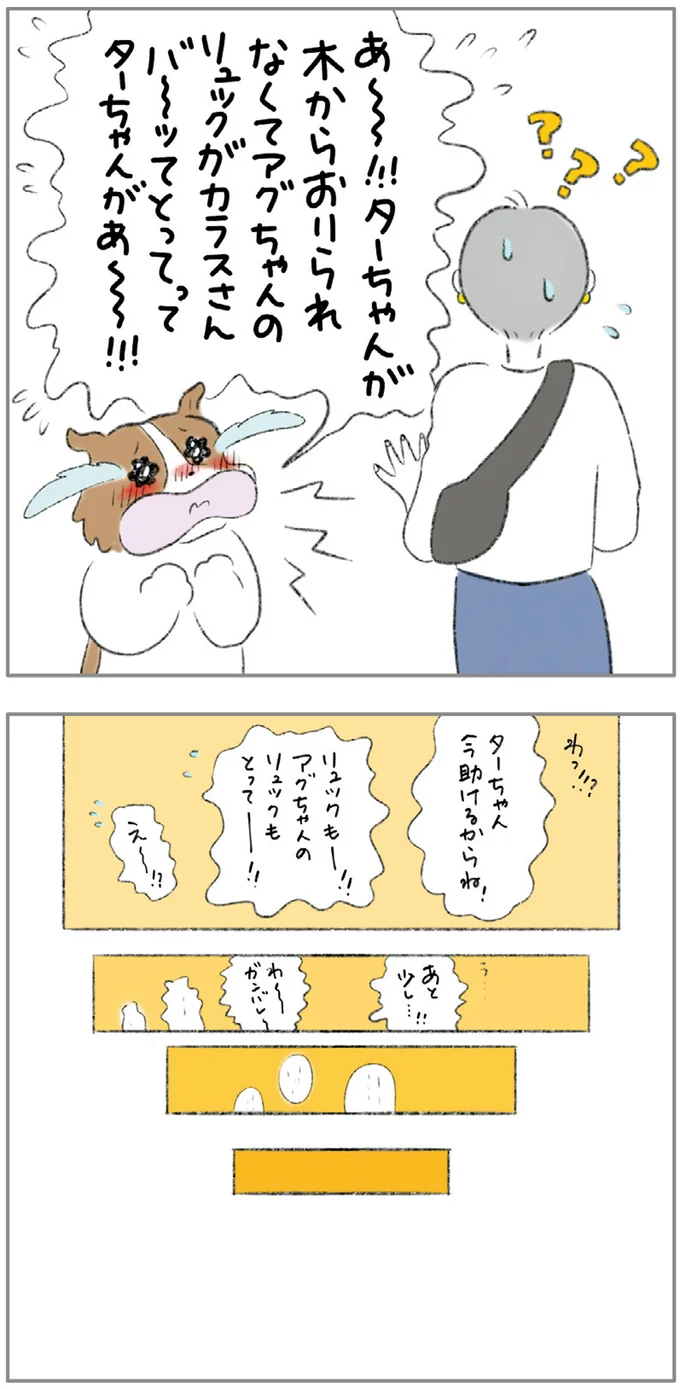 『ターとアグのしあわせ日和 元ノラ猫と元保護犬、ふたりは親友』 01-12.png