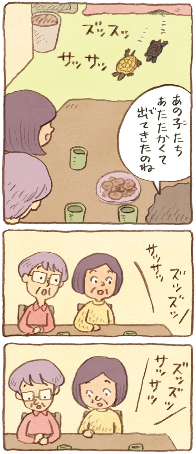 おばあちゃんとかめ 何げに楽しい2匹とのくらし 04-05.webp