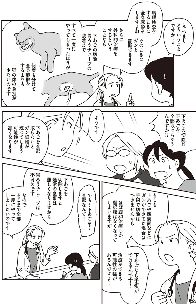 『世界一幸せな飼い主にしてくれた猫』 09-06.png