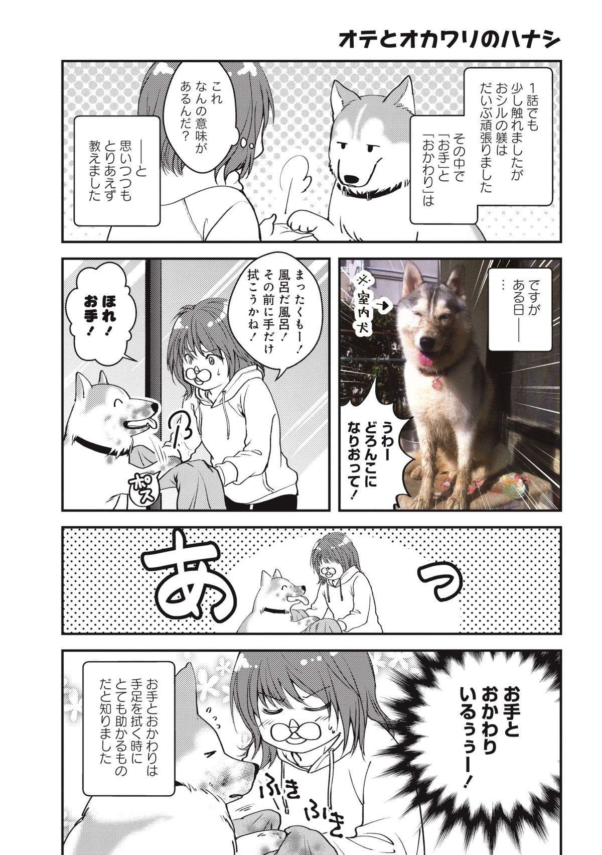 ボーっとして人が来ても吠えない...そんな愛犬が激しく吠えた「初番犬の相手」／猫とハスキーとハマジ1 2.jpg