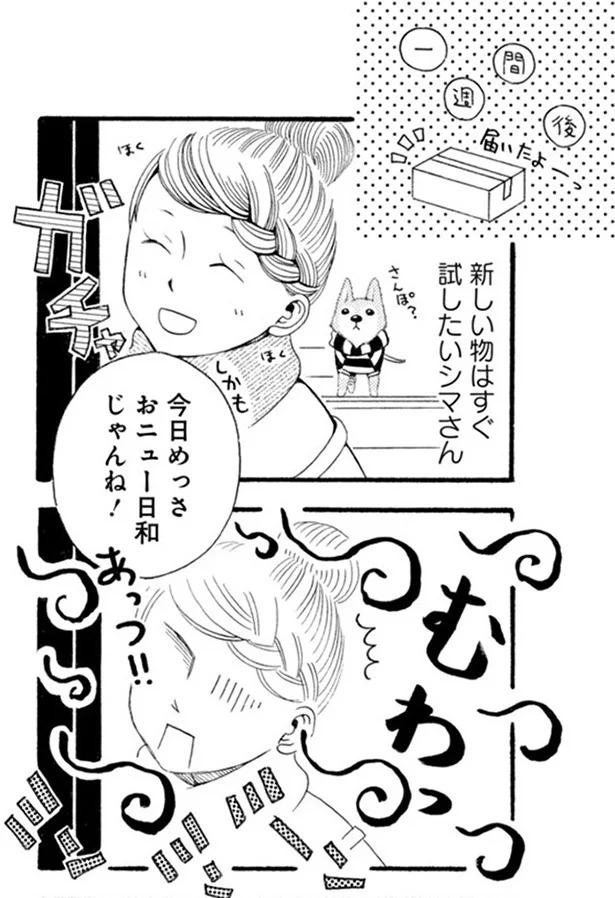 『96歳の柴犬ハチさんは、今日もお散歩しています。』 96.webp