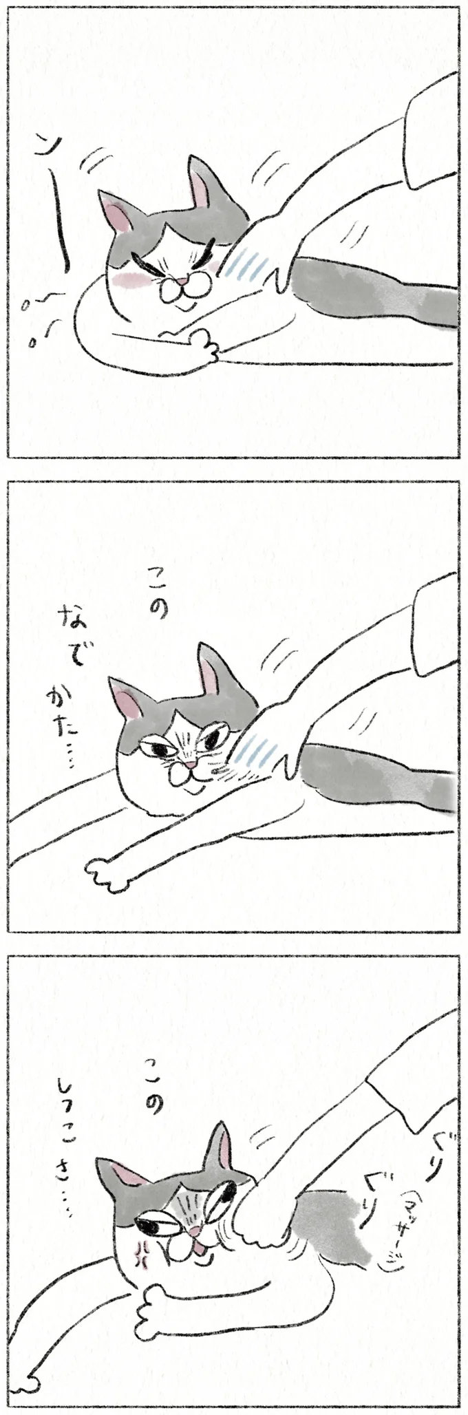 『うちの猫は今日も塩対応』 62.webp