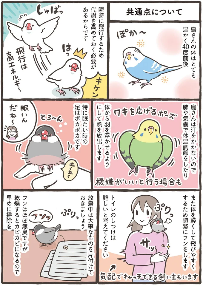 あなたはブンチョウ？ それともセキセイインコ？ 人気の2種を詳しく解説／トリ扱い説明書 85.png