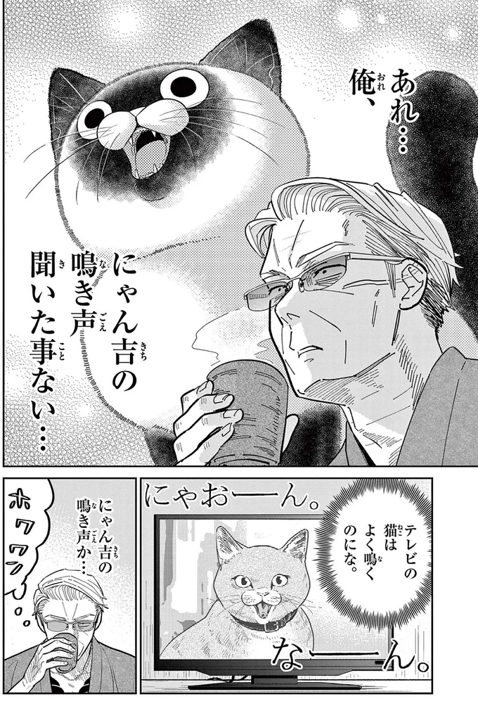 野良猫の鳴き声を聞いてみたい！ あの手この手と仕掛けるものの...／オヤジとにゃん吉 16214521.webp