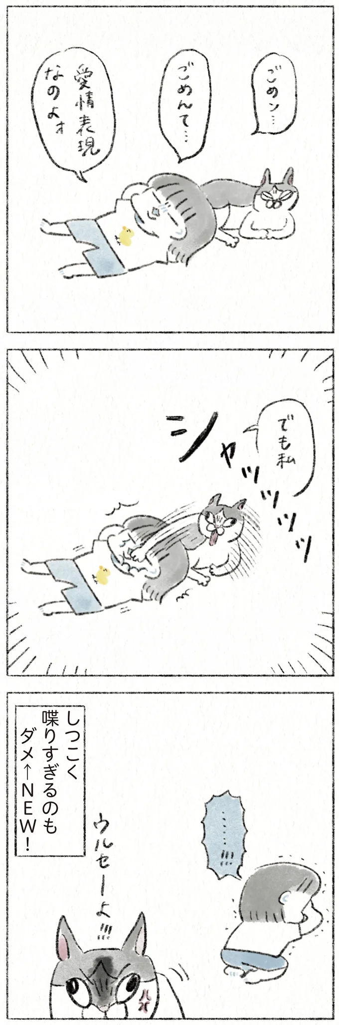 『うちの猫は今日も塩対応』 72.webp