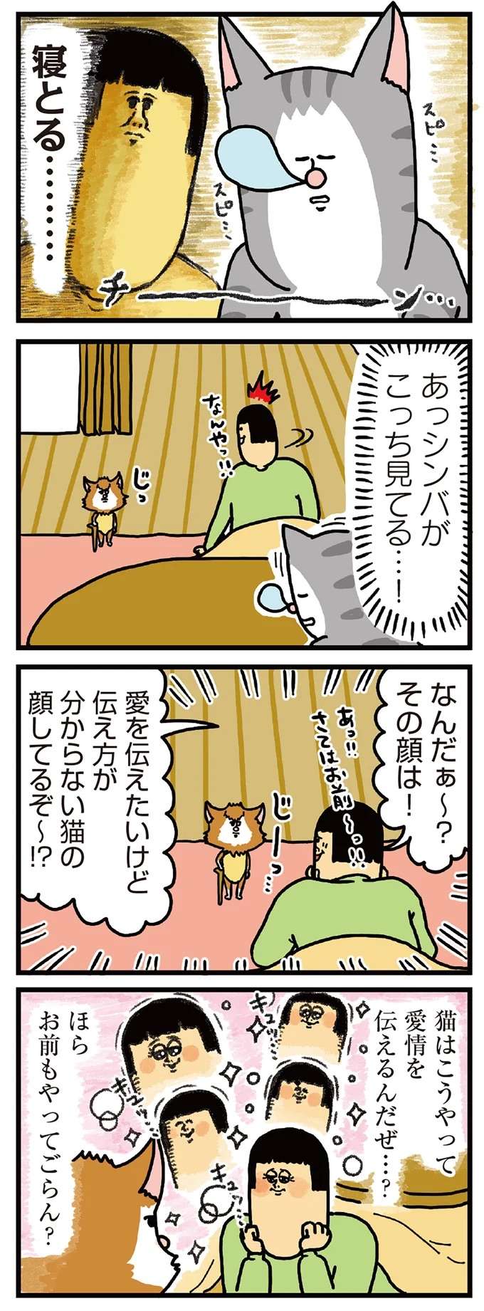 猫たちに「愛」が届かない。まばたきで愛情を伝えてみたら...ごめん／まめきちまめこニートの日常 2 mameko20_2.jpeg