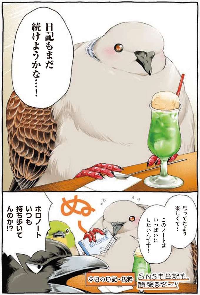 遠くの鳥と感動を共有。SNSデビューして見つけた小さな幸せ／キジバトくん日記 kijibato8_2.jpeg