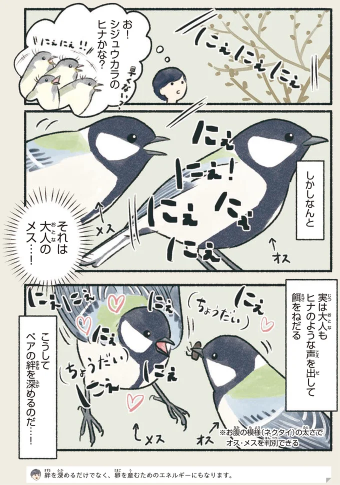 『意外と知らない鳥の生活 1〜2』 113.webp