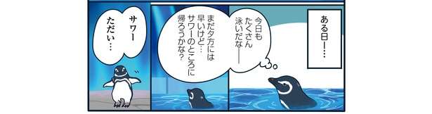 飼育員は見た!! 「帰宅すると目の前で...」恋の修羅場か!? ペンギンたちの愛の記録マンガ 32流血！すみだ水族館で恋の修羅場「下町ペンギン物語」第三話6.jpg