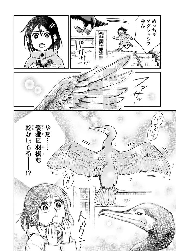 まいにち鳥びより 2-6.png