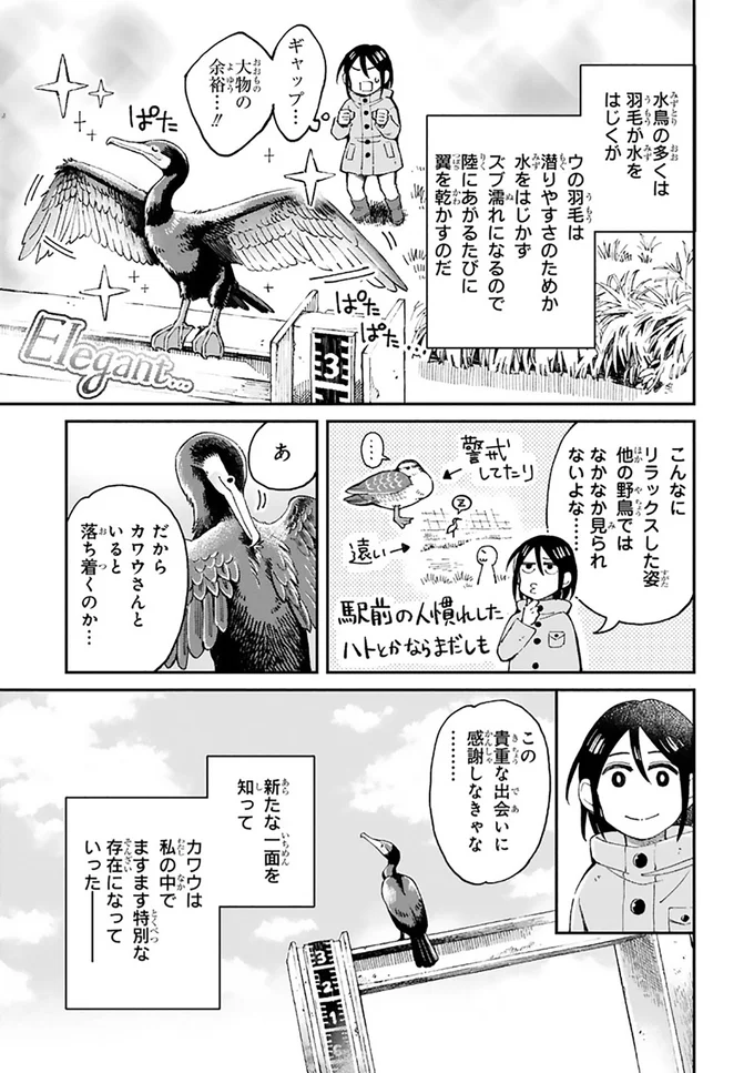 まいにち鳥びより 2-7.png