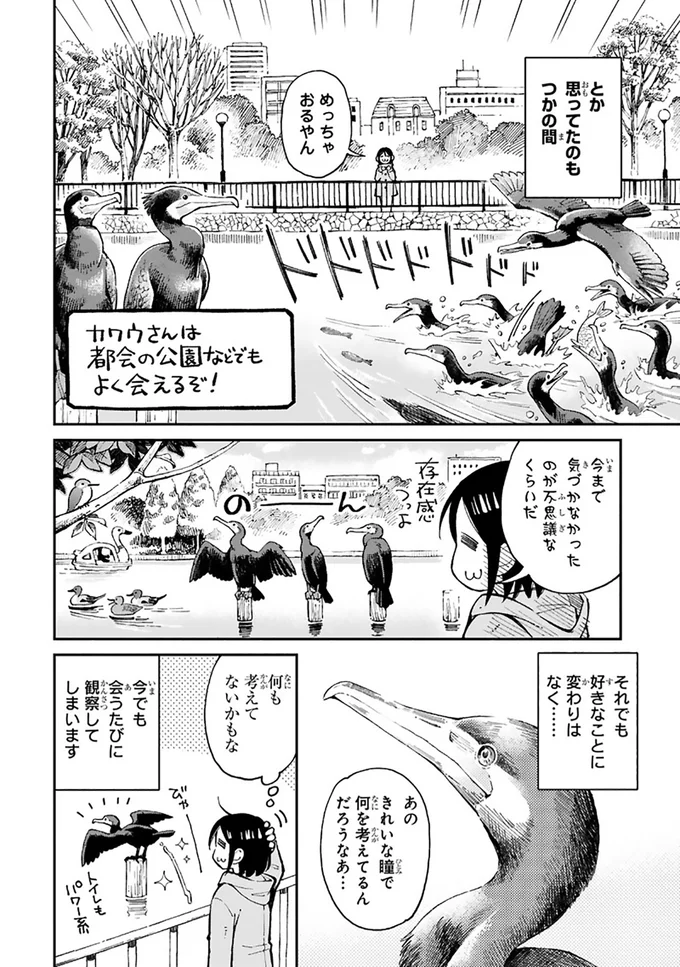 まいにち鳥びより 2-8.png