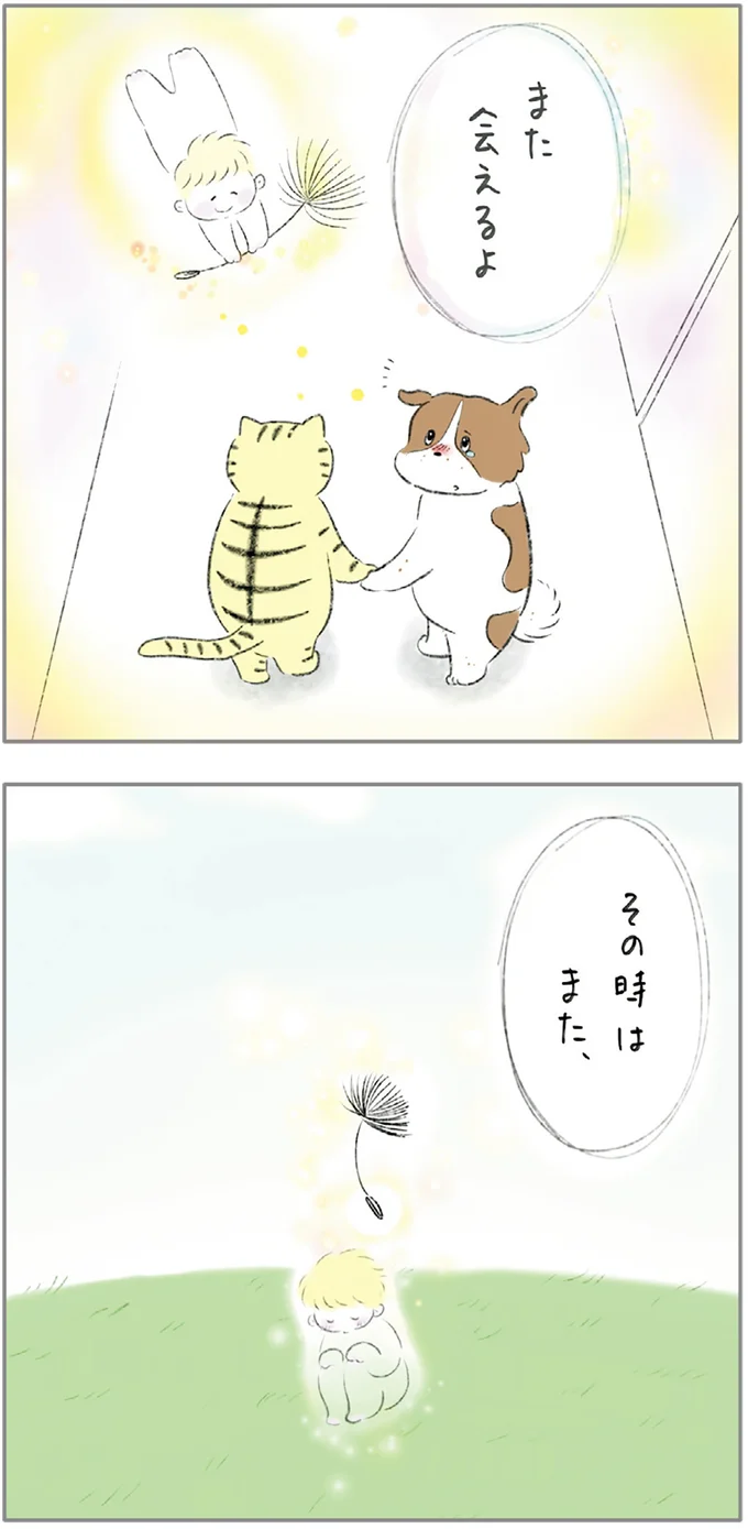 『ターとアグのしあわせ日和 元ノラ猫と元保護犬、ふたりは親友』 02-12.png