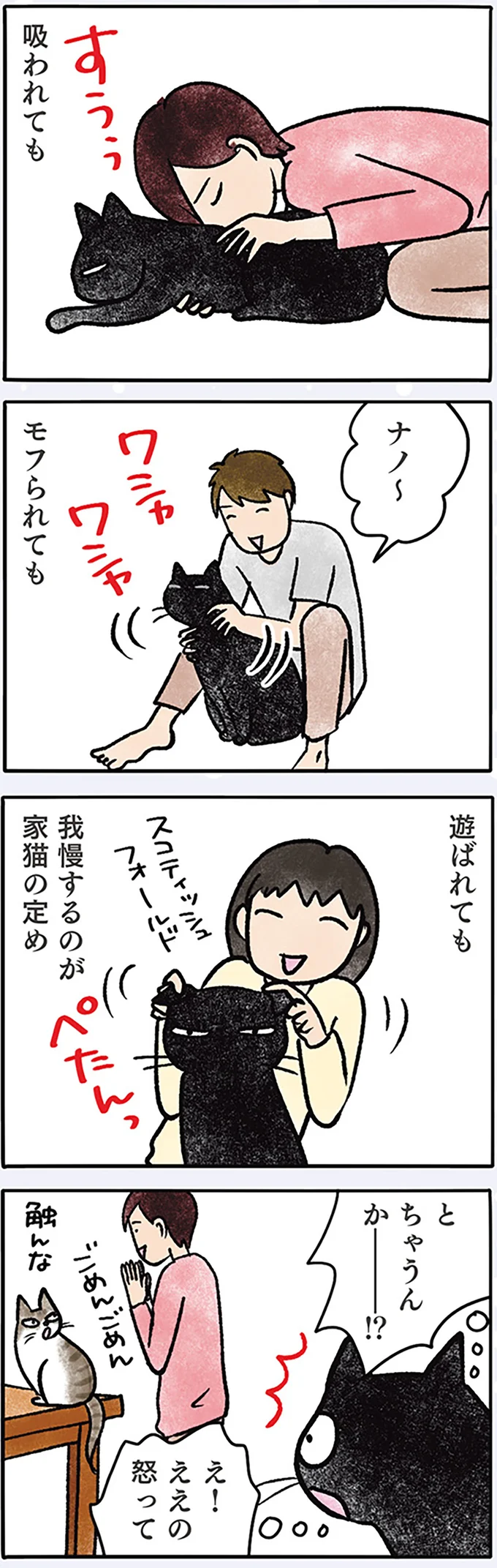 『黒猫ナノとキジシロ猫きなこ』 05-02.png