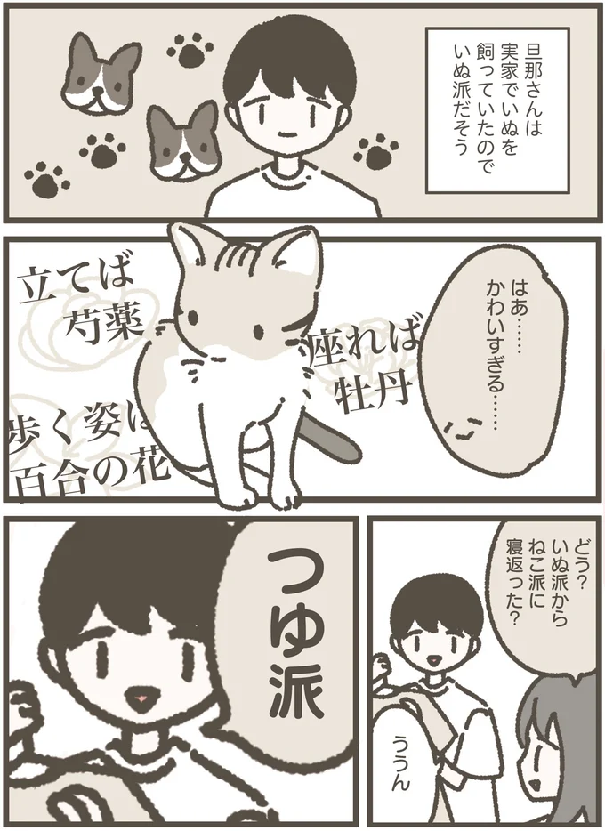 すぐに家に馴染んだ保護猫。いぬ派だった夫にも変化が...／ねこのつゆちゃんのことで頭がいっぱいです 16124255.webp