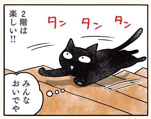 「もう覚えたで」猫が覚えた人間（＝下僕）を操る方法／黒猫ナノとキジシロ猫きなこ kuroneko_nano3-1.jpg