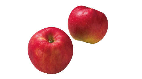 旬で栄養価の高いりんごをレンチンだけでデザートに！ 「焼きりんご」と「りんごチップス」レシピ 2110_P036_01_W500.jpg