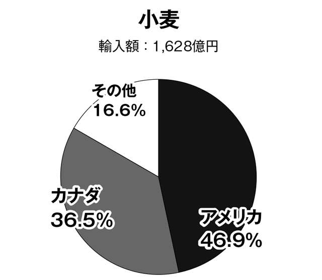 大きく揺らぐ「国産食品の安全神話」。食品の安全基準の厳格化に日本が取り残されている理由は？ 2111_P093_02.jpg