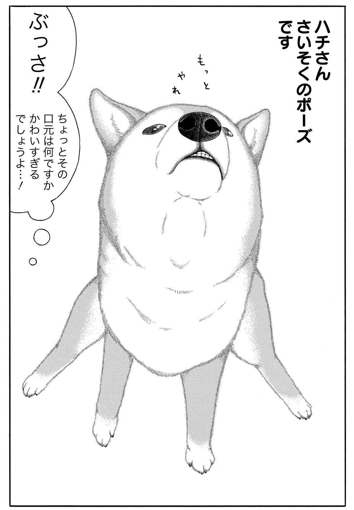 おじいちゃん柴犬のかわいすぎる「さいそくのポーズ」。口元がたまらない...！／じじ柴ハチさん 4.jpg