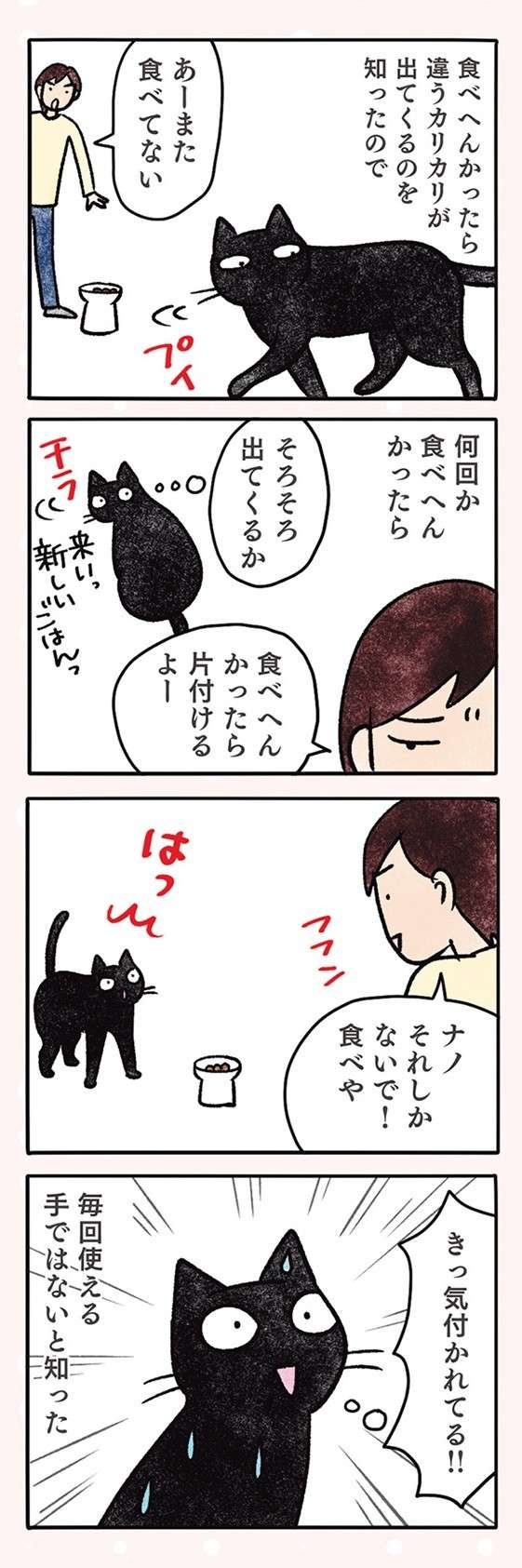 ニヤリ。猫が同じカリカリに飽きて「気付いたこと」／黒猫ナノとキジシロ猫きなこ kuroneko_nano6-7.jpg